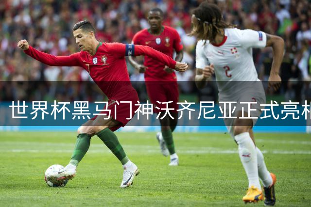 世界杯黑马门神沃齐尼亚正式亮相智利 科洛科洛俱乐部喜迎强援