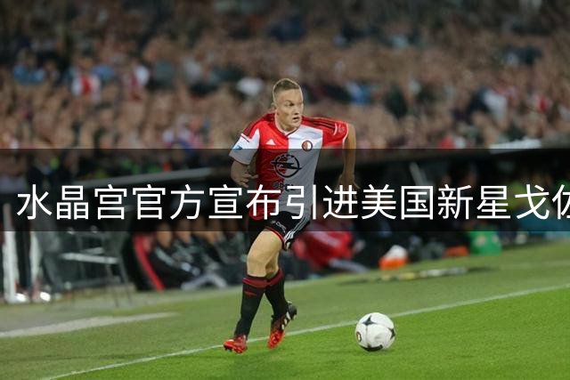 水晶宫官方宣布引进美国新星戈佐 转会费达1100万英镑