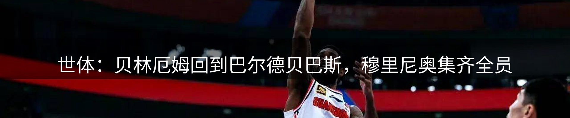 新闻动态