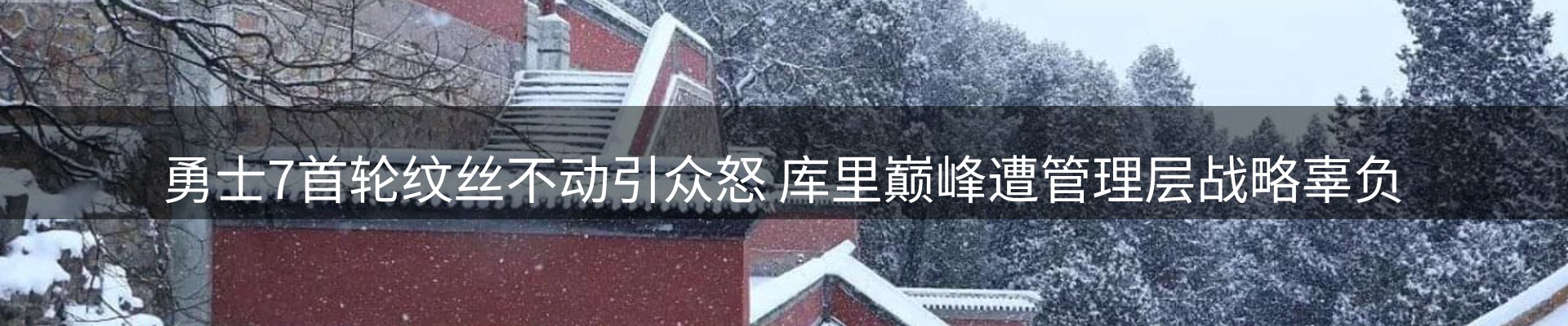 新闻动态