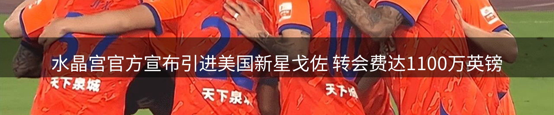 新闻动态