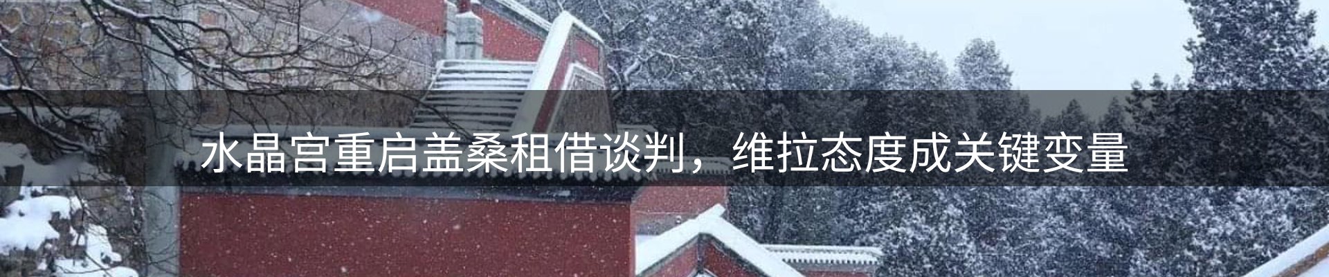 新闻动态