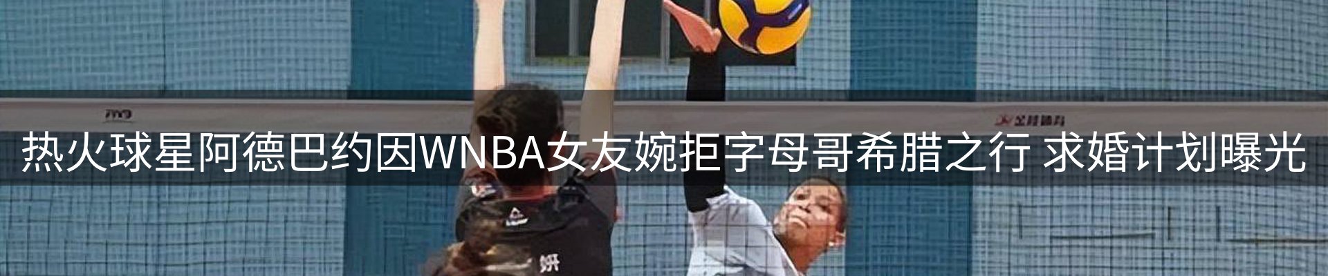 新闻动态