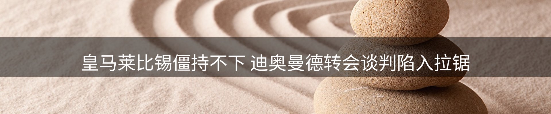 新闻动态