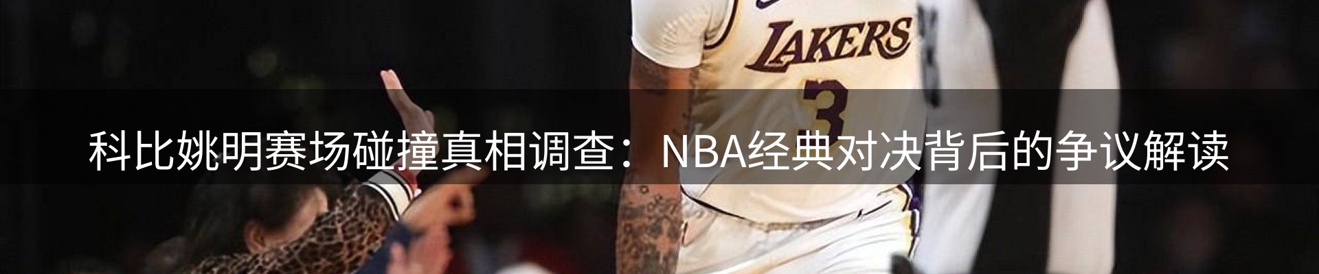 新闻动态