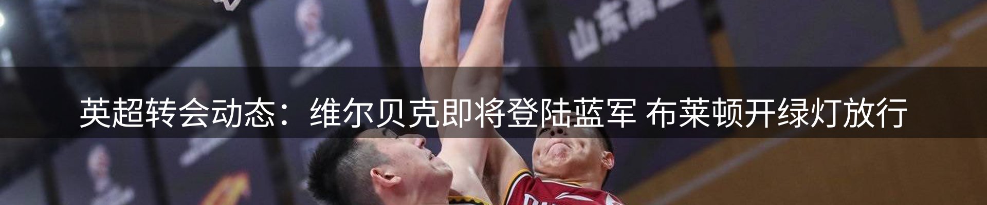 新闻动态