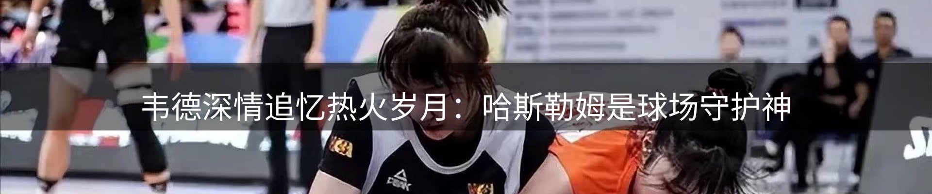 新闻动态