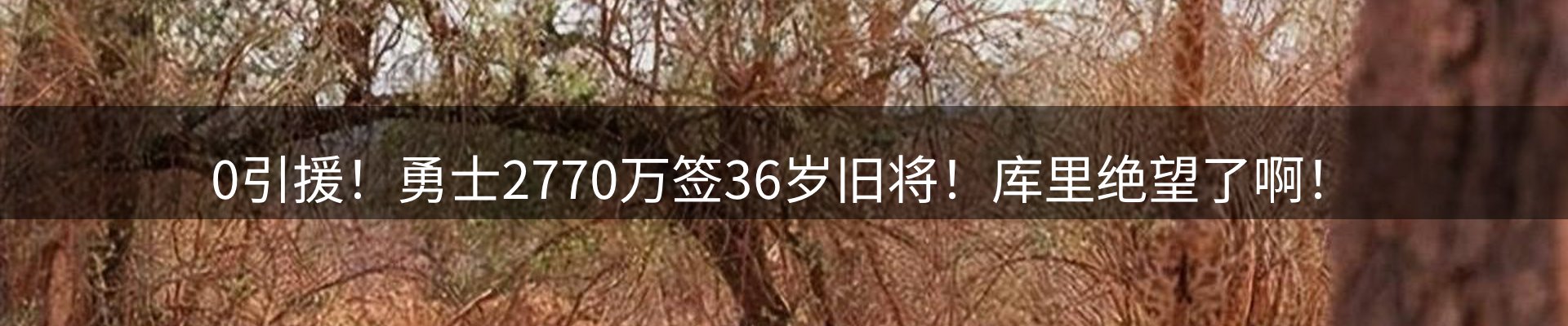 新闻动态