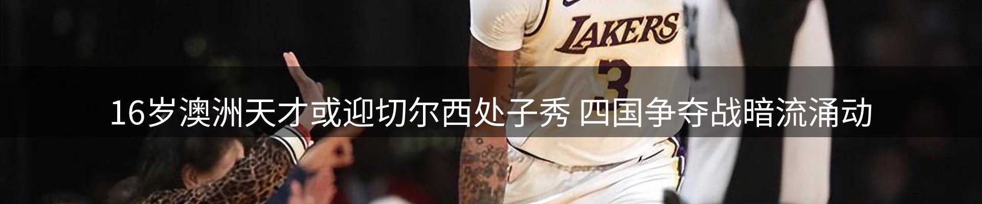 新闻动态