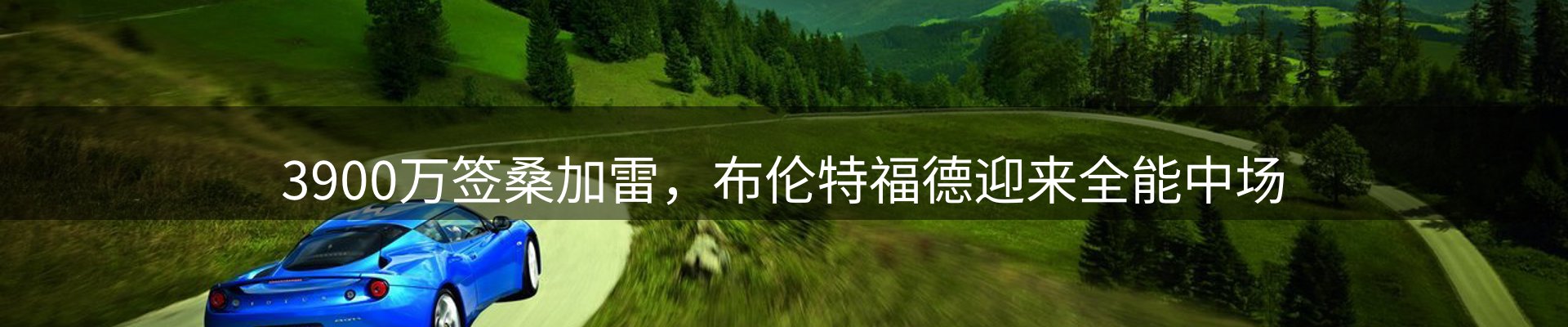 新闻动态