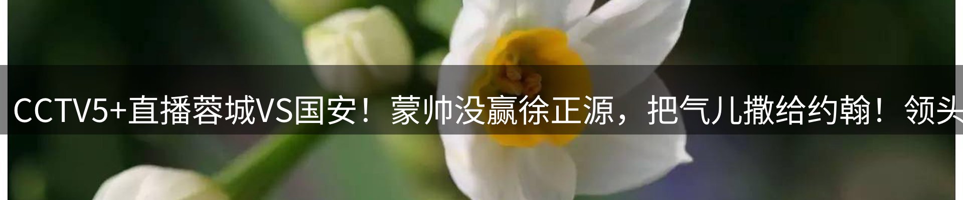 新闻动态